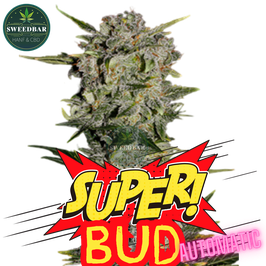 Super Bud Automatic