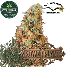 Power Plant - Dutch Passion