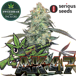 AK-47 - Serious Seeds