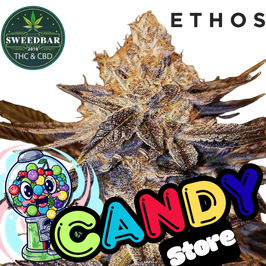 Candy Store - Express Versand 24h