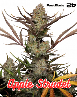 Apple Strudel Auto - 420 FastBuds