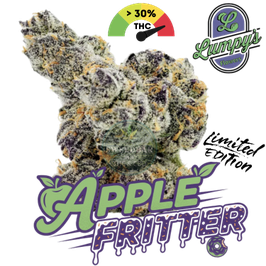 Apple Fritter Steckling Lumpy´s Flowers in Steinwolle (Breeder Cut)