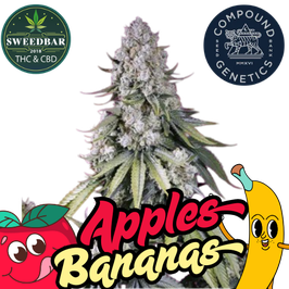 Apples & Banans - US Cali - Express Versand 24h