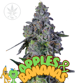 Apples & Bananas - Compound Genetics