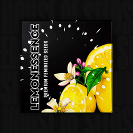Lemonessence - Doja Seeds