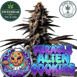 Miracle Alien Cookies (MAC) - Capulator Cut