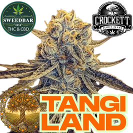 Tangie Land - Crokett Family Farms