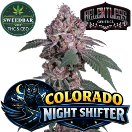 Colorado Night Shifter - Relentless Genetics