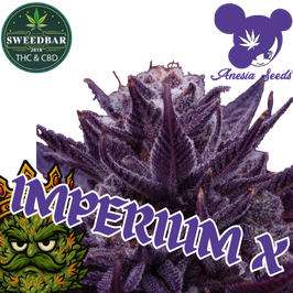 Imperium X - Express Versand 24h