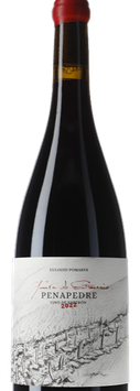 Penapedre  Quinta do Estranxeiro Vino de Esperon 2022