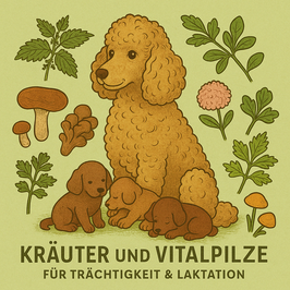 Für die Trächtigkeit und/oder Laktationszeit