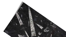Marmor Treppe Fossil Black poliert gewendelt