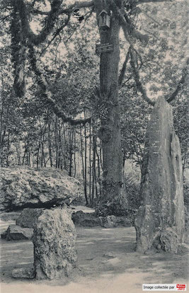 Une statuette de la Vierge était placé en hauteur sur le chêne.