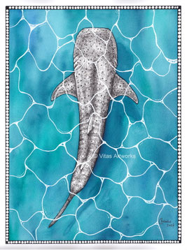 Walhai - handgemaltes Originalkunstwerk mit Aquarell und Tinte
