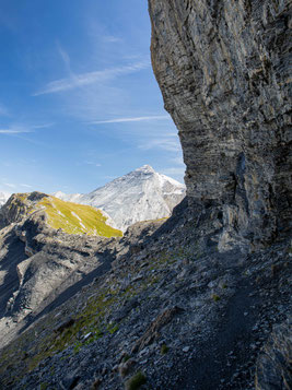 Schwarzgrätli Kandersteg