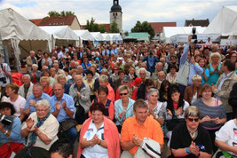 Sachsen-Anhalt-Tag in Gommern
