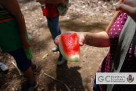 Las frutas también fueron parte del desayuno campesino ofrecido a los y las caminantes.