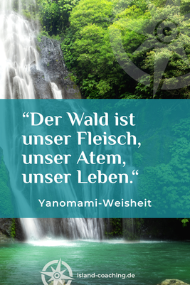 Zitat auf Naturhintergrund – Yanomami-Indigene – Weisheit über Wald als Lebensquelle