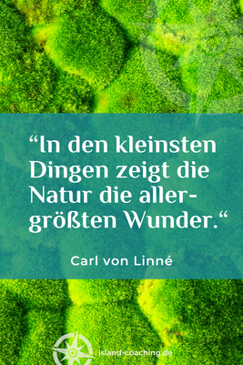 Zitat und Portrait von Carl von Linné – schwedischer Naturforscher – über Naturwunder