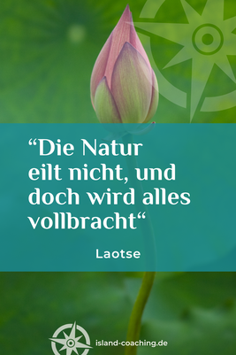 Zitat und Darstellung von Laotse – chinesischer Philosoph – über Geduld und Natur