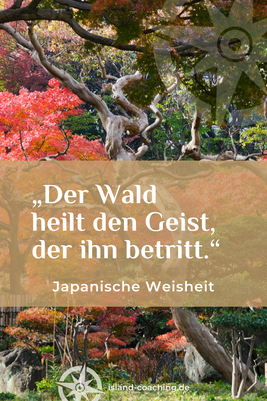 Zitat auf Naturhintergrund – traditionelle japanische Weisheit – zur Heilung durch den Wald