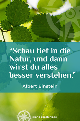 Zitat und Portrait von Albert Einstein – theoretischer Physiker – zu Naturverbundenheit