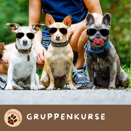 Gruppenkurs Hundeschule München Ost