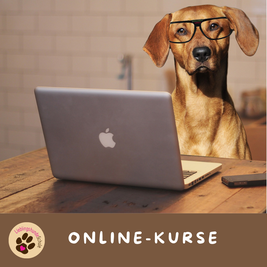 Hundeschule online