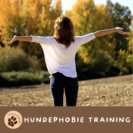 Hundeangst Therapie