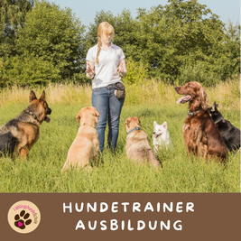 Hundetrainer Ausbildung Bayern München Ost