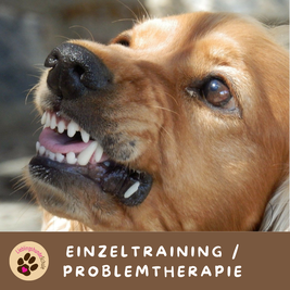 Einzeltraining Hundeschule München Ost