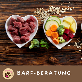 Barfberatung Hundeernährungsberatung