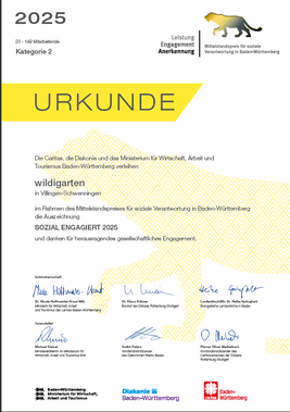 sozial engagiert Baden-Württemberg Auszeichnung wildi