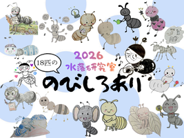 mizuochi2026 ページ！