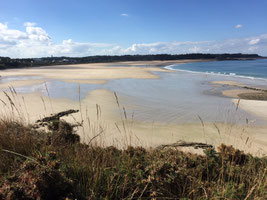 Vue du haut de la plage des Sables d'Or les Pins à la marée basse. On peut y admirer les ajoncs en fleur et le sable clair