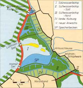 eingedeichtes Vorland Lüttmoorsiel