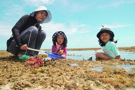 潮干狩りを楽しむ下瀬さん親子=8日午後、市内多田浜海岸の浜辺から約300㍍沖