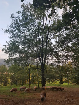 Dernière balade avant le coucher de soleil