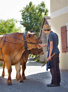 Fränkisches Freilandmuseum Bad Windsheim