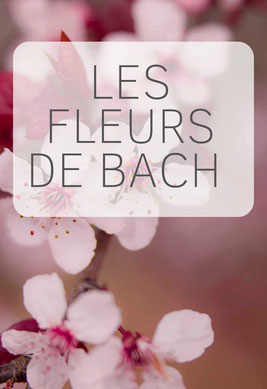 Formation Fleurs de Bach  avec nadine jauneaud - tours - annuaire des thérapeutes via energetica