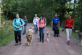 mehrere Menschen mit ihren Hunden auf einem Waldweg