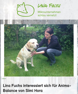 Anima-Balance | TCM für Tiere | Tierakupunktur für Pferde, Hunde & Katzen