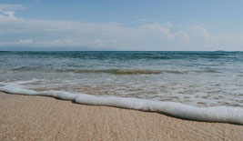 homophones grammaticaux plage