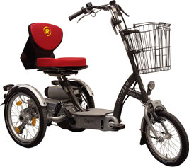Lionelo Tris Dreirad Laufrad Ab 1 Jahr Kinderdreirad Lenkstange Baby Kinderwagen Ebay