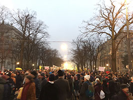 Demo Bildet! Bildet Demos! // do! 17.01.2019 Bild:ubg