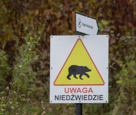 Bild: Hinweisschild zur Warnung vor Bären