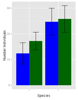 Bild: Bionum- Hilfe und Beratung in Biostatistik: vergleich von Mittelwerten, Statistik Ökologie