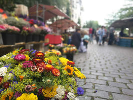 Top 5 organic markets in Berlin