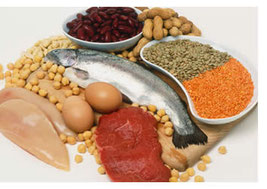 dieta proteica menu tipo dieta proteica menu tipo