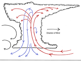 air circulation within a thunderstorm